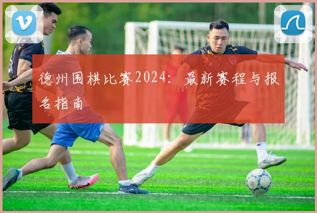 德州围棋比赛2024：最新赛程与报名指南