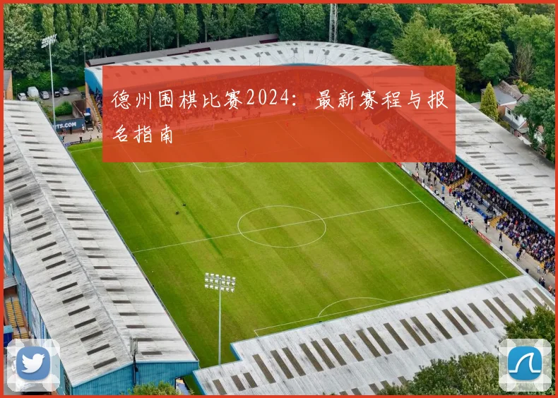 德州围棋比赛2024：最新赛程与报名指南